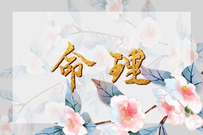 老皇历择吉,老皇历查询,老皇历农历